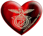 Avatar do utilizador